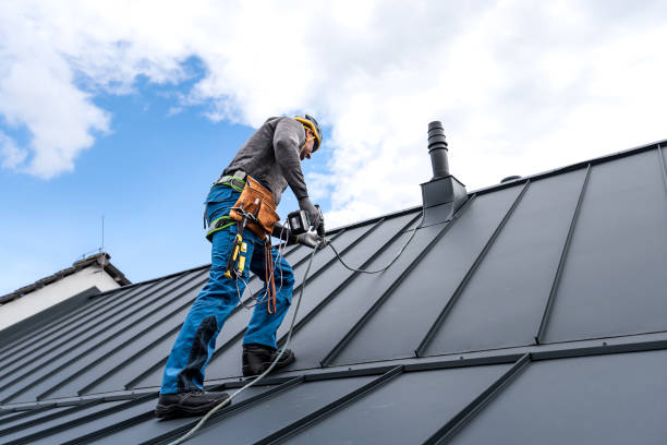 Best Storm Damage Roof Repair  in Martins Ferry, OH